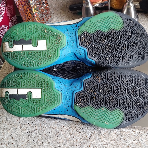 Lebron - Picture 8 of 8